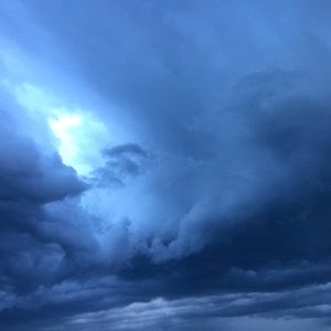 Meet your Posher, Beatrice